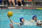 WWPolo vs CC  Wheaton College Women’s Water Polo compete in their sports inaugural match vs Connecticut College. - Photo By: KEITH NORDSTROM : Wheaton, water polo, inaugural